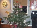 121209 juletrae