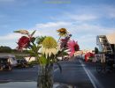 260816 200157 img