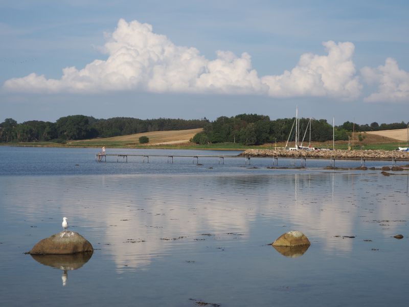 p8260015